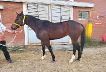 ������Ÿ�� (JEONSEOLUI TIME) ����