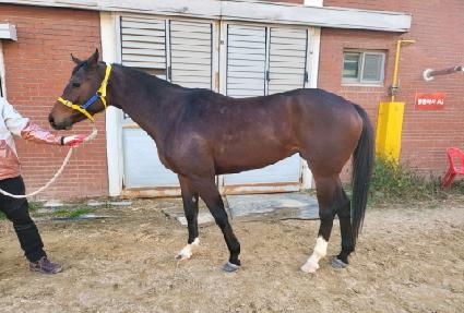 ������Ÿ�� ����