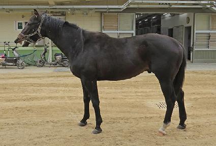 �ε������ ����