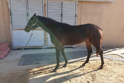 ��Ÿ�� ����