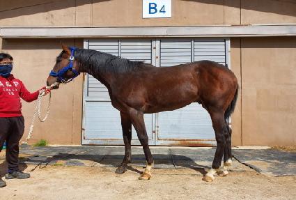 �¸��۷θ� ����