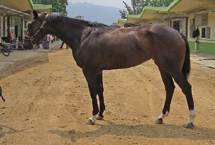 ������ ����