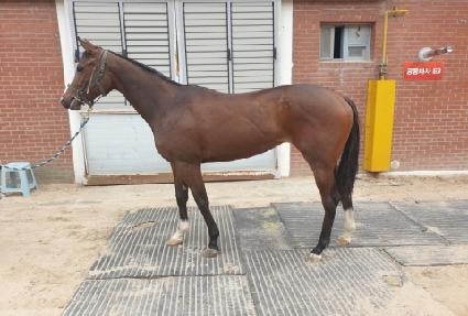 ������ ����