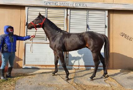 ���͹ٽÿ� ����