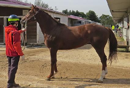 �ٶ����Բ� ����