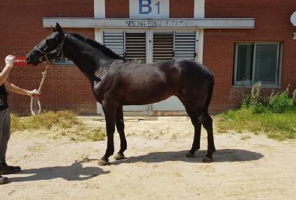 ��ٺ�� ����