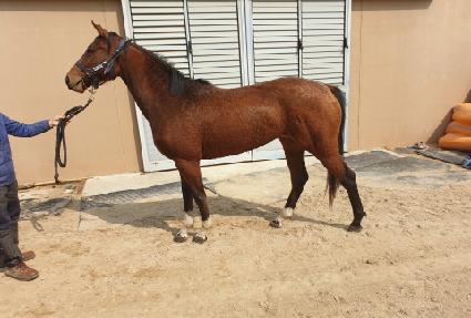 ����Ʈ�۷θ� ����