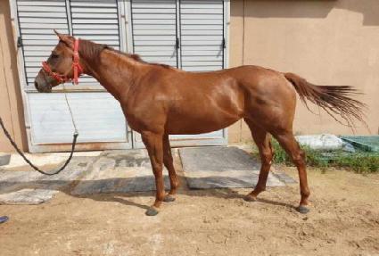 ���Ǵ�Ƽ�Ŀ� ����