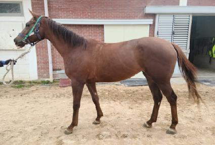 �۽�Ʈ��ũ ����