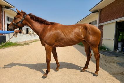 ��ǳ�ڸ��� ����