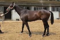 ��º�Ʈ (RAON BEAT) ����