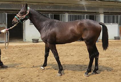 ��º�Ʈ ����