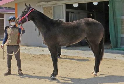 ����޴��� ����