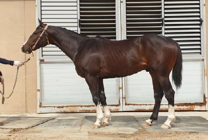 ���ͳ������ ����