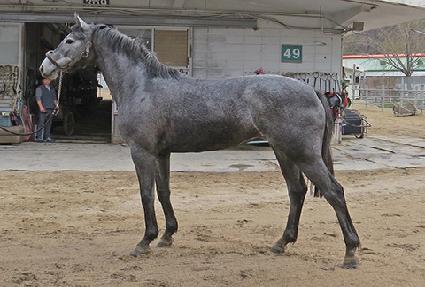 �����ǰ��� ����