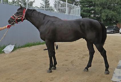 �����ε� ����