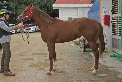 ����Ʈ��ũ ����