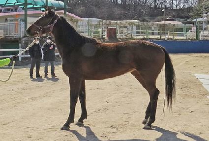 ���縶���� ����