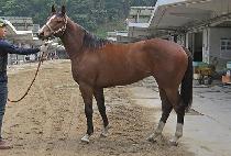 ��ī�� (ANKARA) ����