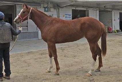 ����ķ�� ����