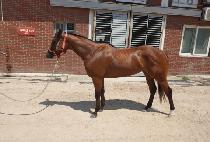 �����ǽ��� (DONGBANUI SIJAK) ����