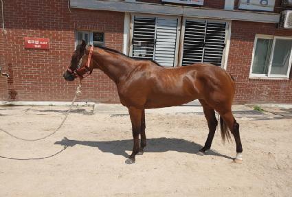 �����ǽ��� ����