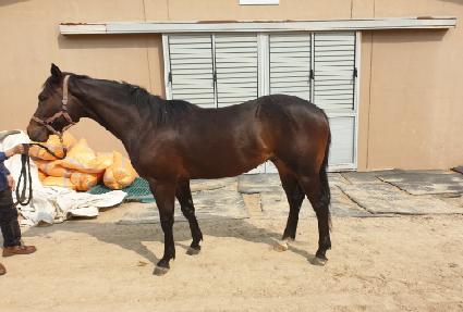 ���׷��� ����