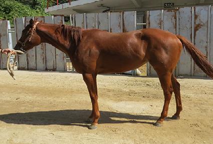 ���� ����