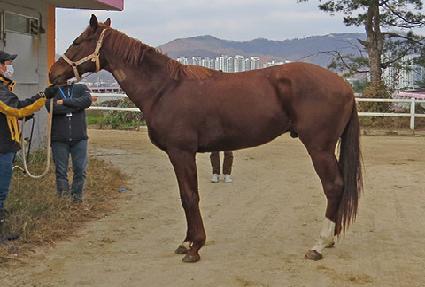 �ƽ���ν� ����