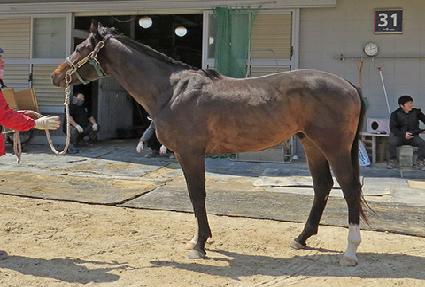 �������ε� ����