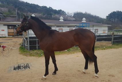 �����÷ε� ����