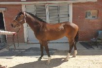 ��´��и��� (RAON THE MILLION) ����