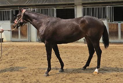 ��´��̾� ����