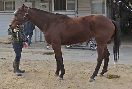 ����޺� ����