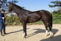 �ְ����� (CHOEGANG GAME) ����