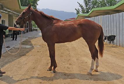 ��Ű�븮 ����