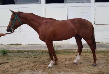 ����Ǯ����Ĺ ����