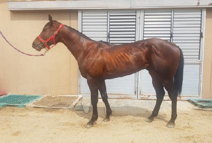 ��Ƶ� ����