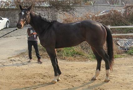 �ְ����� ����