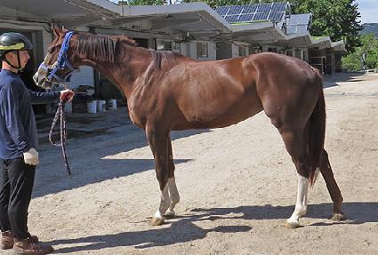 ����Ǯ�Ͽ��� ����