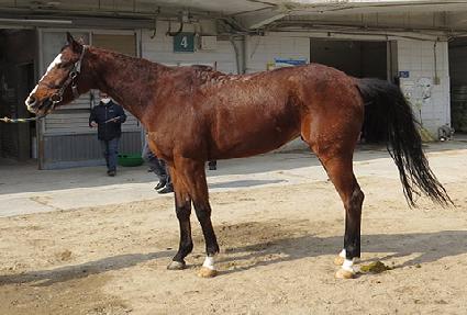 �۽�Ʈ�ε� ����