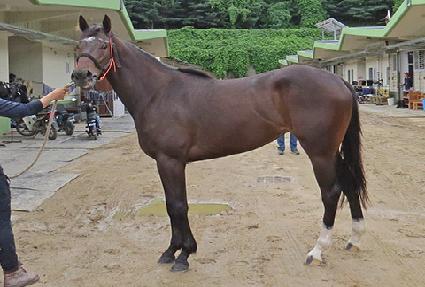 ���ѵ� ����