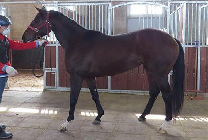 ��ǳ���� ����