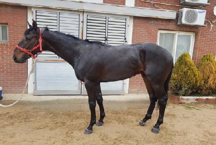 ����Ҳ� ����