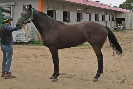 ������������ ����