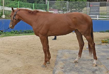 �ö���Ǯ�� ����