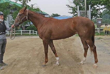 ����ī���� ����