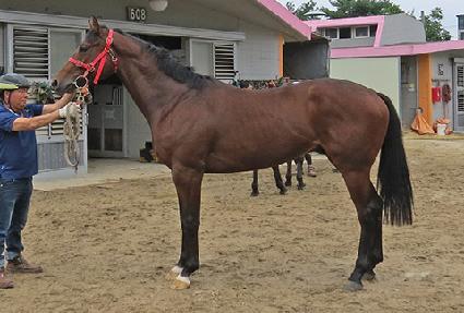 �ָӽ�Ʈ�� ����