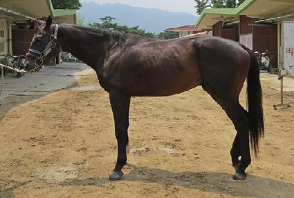 ����ŷ��Ʈ ����