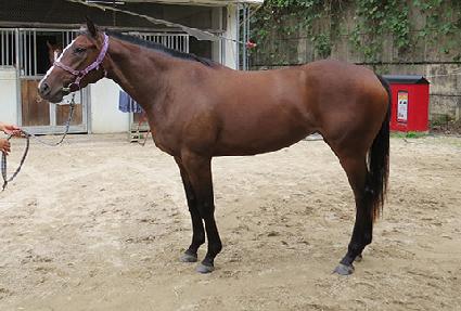 �۷ι�õ�� ����